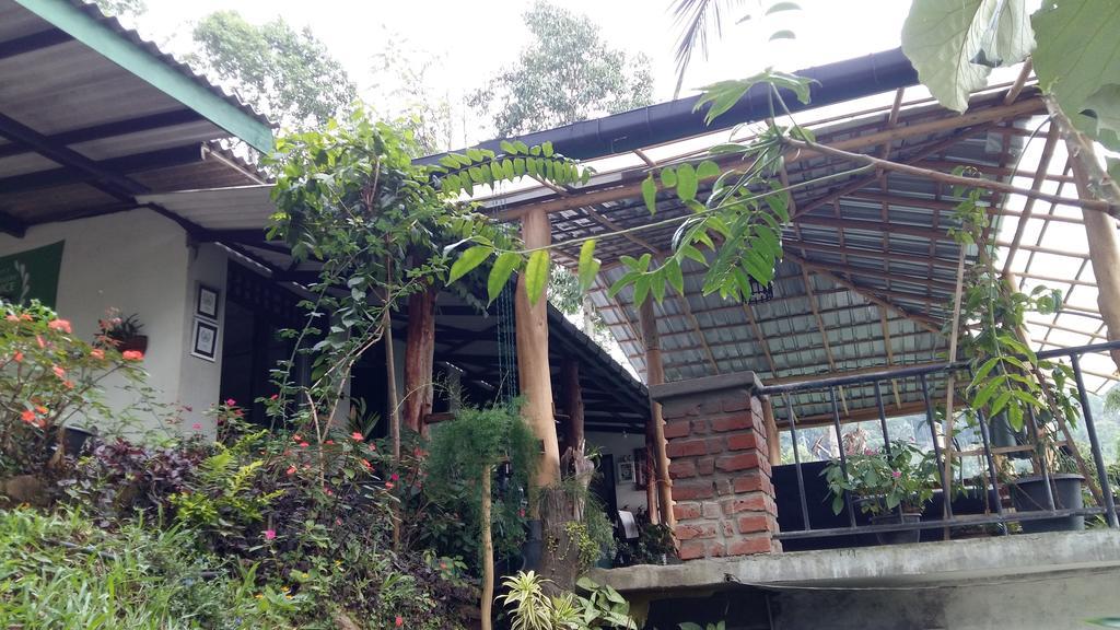 Idyll Homestay Ella Esterno foto